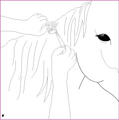Tuto Comment créer des boucles poney : crinière ou queue