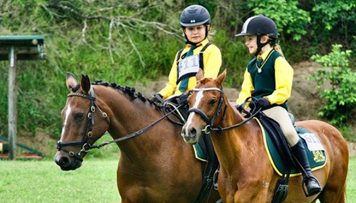 Tutoriel : Réaliser un frontal loom band pour cheval