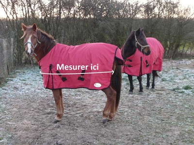 Comment choisir la bonne taille de Couverture pour votre Poney ou Cheval