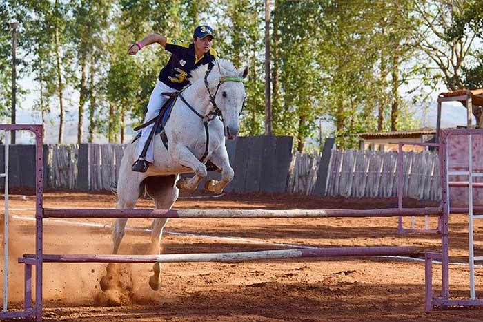 Liste des équipements incontournables pour le cavalier