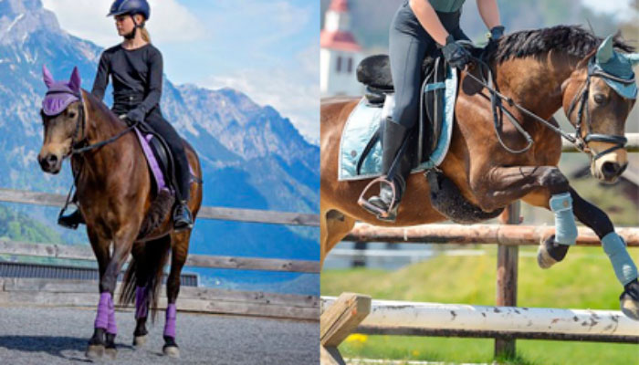 Echauffement du cheval : Comment améliorer sa detente