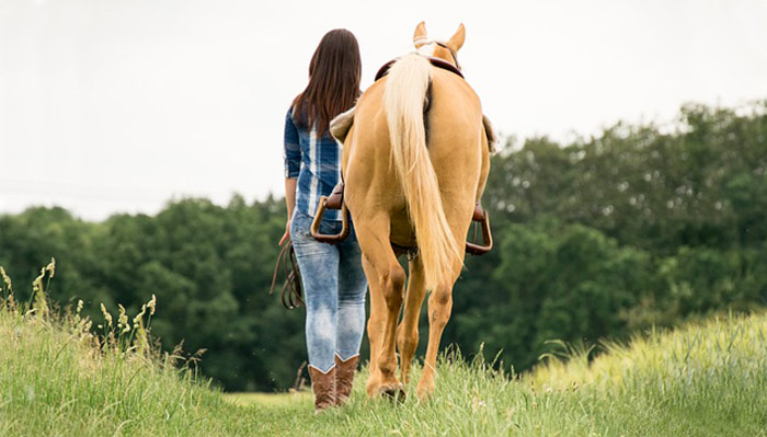 Comment renforcer le lien avec son cheval